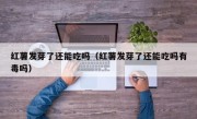 红薯发芽了还能吃吗（红薯发芽了还能吃吗有毒吗）