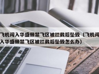 飞机闯入华盛顿禁飞区被拦截后坠毁（飞机闯入华盛顿禁飞区被拦截后坠毁怎么办）