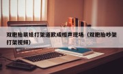 双胞胎萌娃打架道歉成相声现场（双胞胎吵架打架视频）