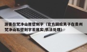游客在梵净山崖壁刻字（官方回应男子在贵州梵净山石壁刻字若属实,依法处理）