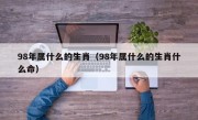98年属什么的生肖（98年属什么的生肖什么命）