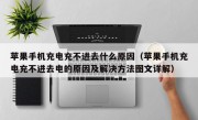 苹果手机充电充不进去什么原因（苹果手机充电充不进去电的原因及解决方法图文详解）