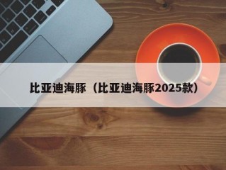 比亚迪海豚（比亚迪海豚2025款）