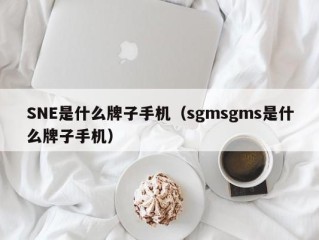 SNE是什么牌子手机（sgmsgms是什么牌子手机）