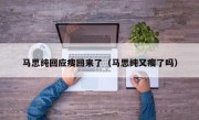 马思纯回应瘦回来了（马思纯又瘦了吗）